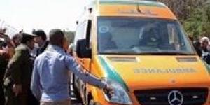 سوهاج..
      إصابة
      ربة
      منزل
      برش
      خرطوش
      بدار
      السلام