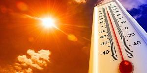 معتدل
      ليلا..
      حالة
      الطقس
      المتوقعة
      غدا
      السبت
      21
      يونيو
      2025