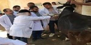 في
      إطار
      المبادرة
      الرئاسية
      حياة
      كريمة
      "طب
      بيطري
      سوهاج
      تطلق
      قافلة
      طبية
      بيطرية
      بقرية
      تونس