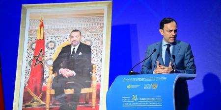 المغرب
      يوصي
      بشراكات
      إفريقية
      مرتكزة
      على
      الرقمنة
      والعدالة
      التنموية