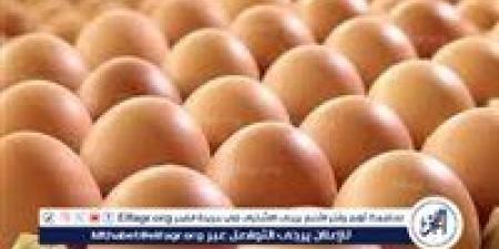 أسعار
      طبق
      البيض
      اليوم
      الاحد
      22-6-2025
      في
      قنا