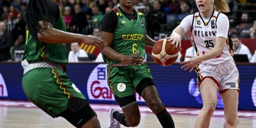 أمريكا
      ترفض
      استقبال
      المنتخب
      السنغالي
      لكرة
      السلة