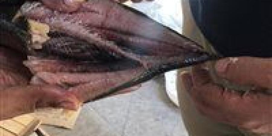 ضبط
      طن
      "رنجة"
      يشتبه
      في
      عدم
      صلاحيتها
      للاستهلاك
      الآدمي
      في
      الغربية