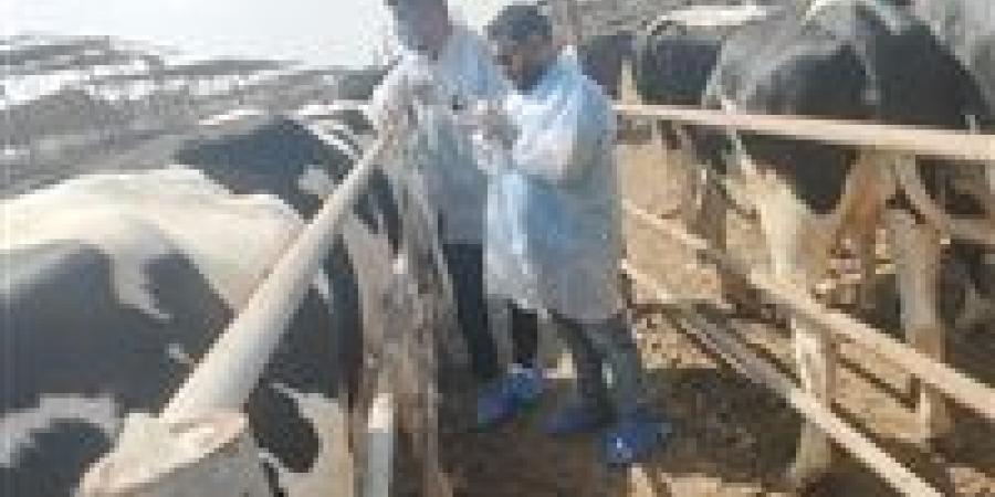 "الزراعة"
      تكثف
      جهود
      حماية
      الثروة
      الحيوانية
      بقوافل
      علاجية
      والتحصين
      والتفتيش
      على
      أسواق
      اللحوم