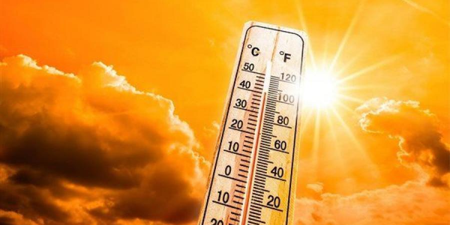 عاجل|
      تجنب
      التعرض
      لهذه
      الأماكن..
      ...