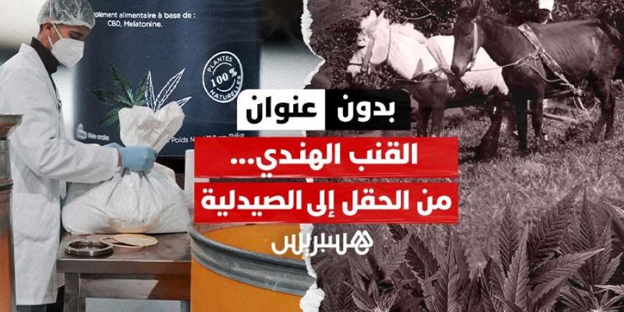 القنب
      الهندي..
      من
      الحقل
      إلى
      الصيدلية