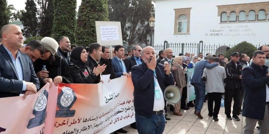 مفتشو
      التعليم
      يعلّقون
      "برنامجا
      نضاليا"