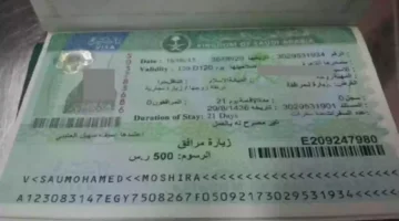 حقيقة إلغاء تأشيرة الزيارة العائلية في السعودية 2025 شروطها وطريقة الاستعلام عنها