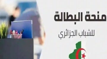 الوكالة الوطنية للتشغيل توضح رابط وخطوات التسجيل في منحة البطالة في الجزائر 2025