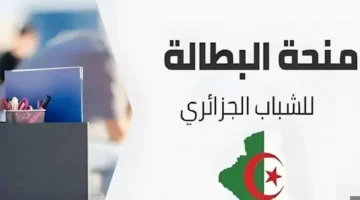 “الوكالة الوطنية للتشغبل” توضح خطوات تجديد منحة البطالة 2025 Renouveler minha anem dz كل 6 أشهر في الجزائر من الهاتف