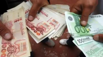 فرق ساشع بين الاسعار في البنوك والسوق السوداء .. سعر اليورو في السكوار اليوم 30 أفريل 2025