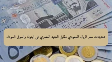 غير عملتك الآن .. تحديث جديد حول سعر الريال السعودي مقابل الجنيه المصري اليوم الأحد 4 مايو 2025 في السوق السوداء وجميع البنوك